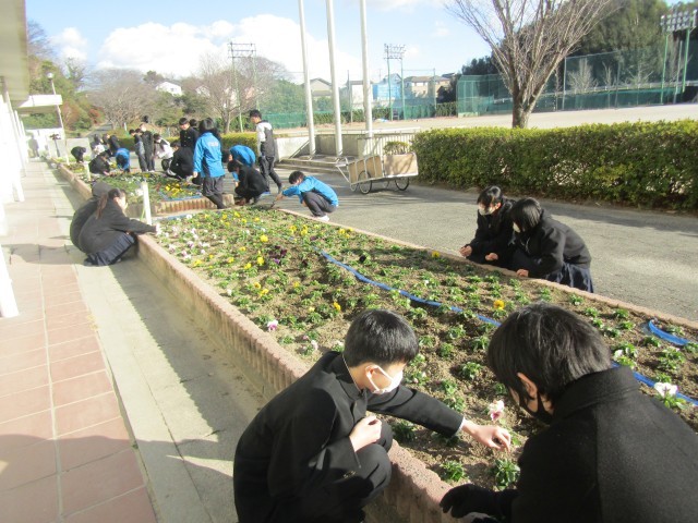 https://chita.schoolweb.ne.jp/2320119/blog_img/231553464?tm=20250219155747