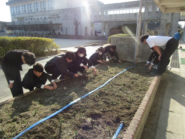 https://chita.schoolweb.ne.jp/2320119/blog_img/231969061?tm=20250226161712